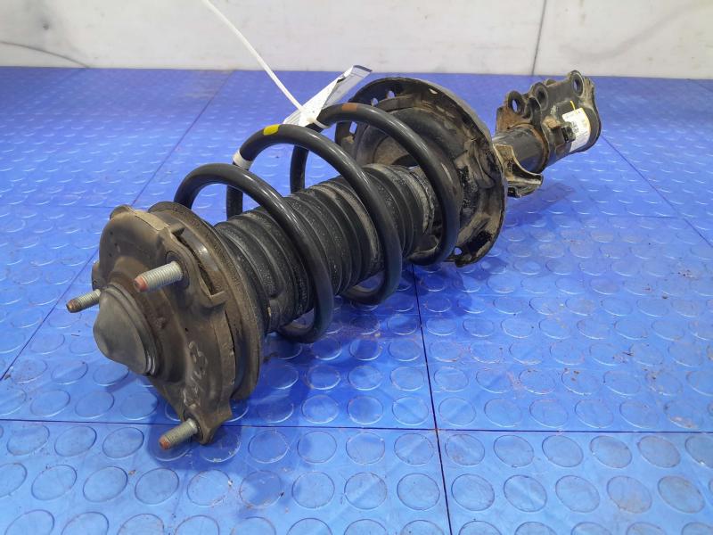 2019 Hyundai Kona Strut Assembly