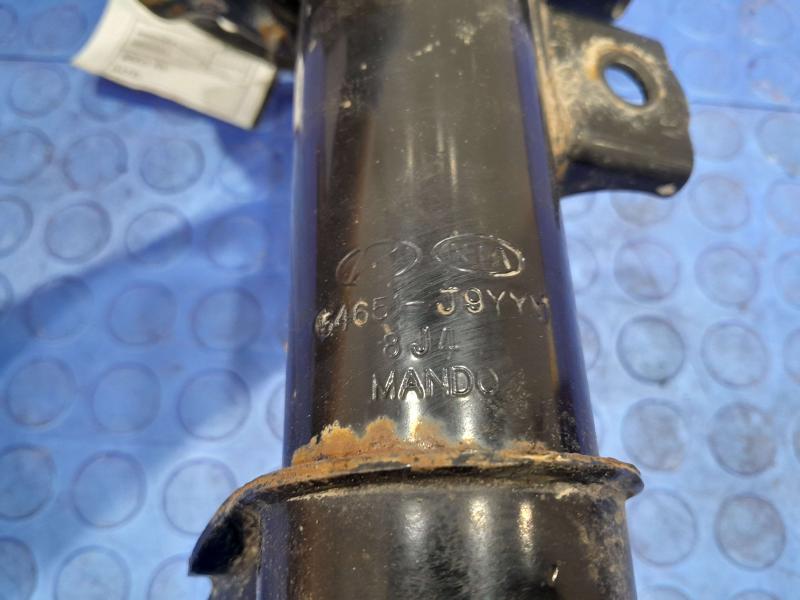 2019 Hyundai Kona Strut Assembly