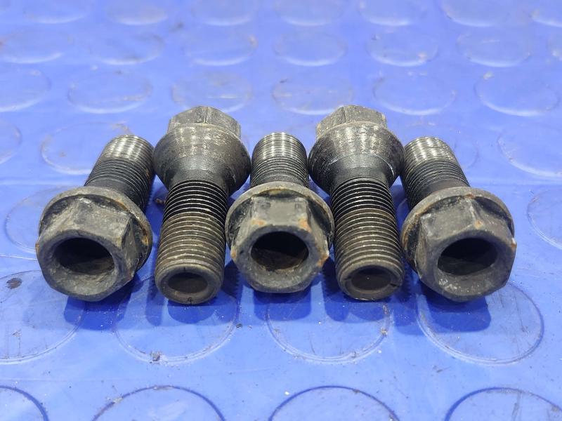 2017 BMW X1 Lug Nuts