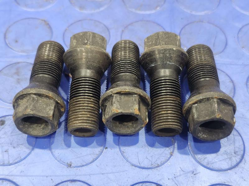 2017 BMW X1 Lug Nuts