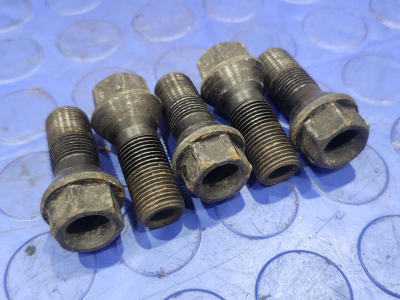 2017 BMW X1 Lug Nuts