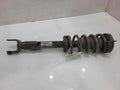 2014 Chrysler 300 Strut Assembly