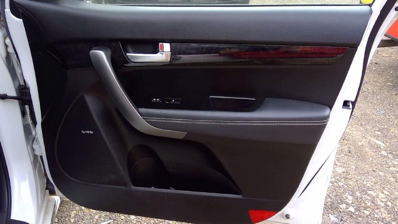 2014 Kia Sorento Front Door Trim Panel RH Passenger Side w/ Lamp   w/Prem Sound OEM 823021U720AUS