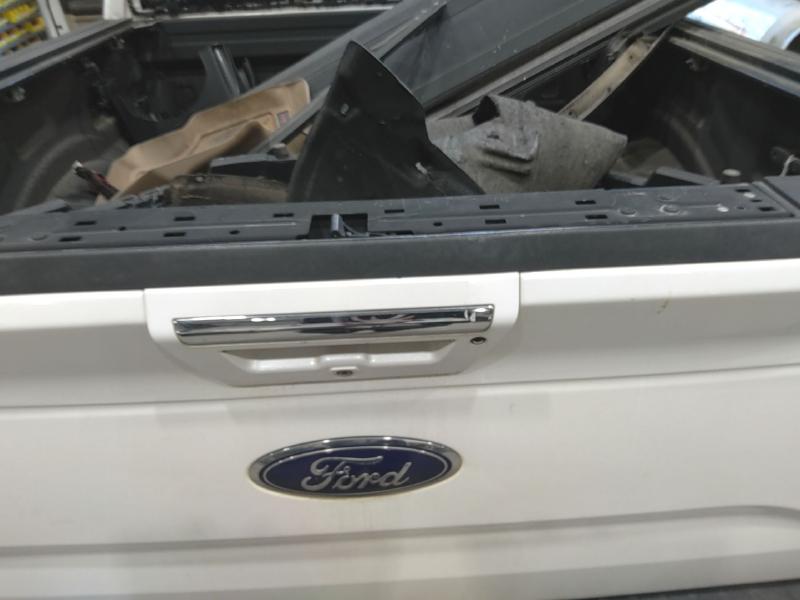 2015 Ford F-150 Trunk/Decklid/Hatch/Tailgate