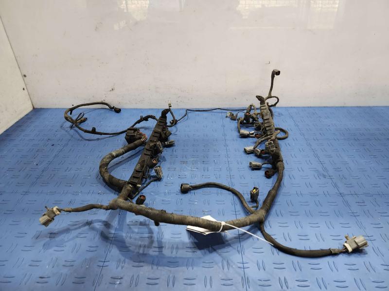 2001 Ford F-150 Wire Harness (Misc)