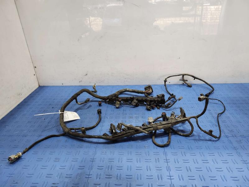 2001 Ford F-150 Wire Harness (Misc)