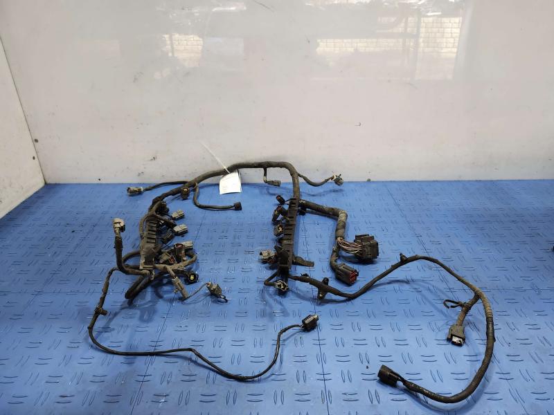 2001 Ford F-150 Wire Harness (Misc)