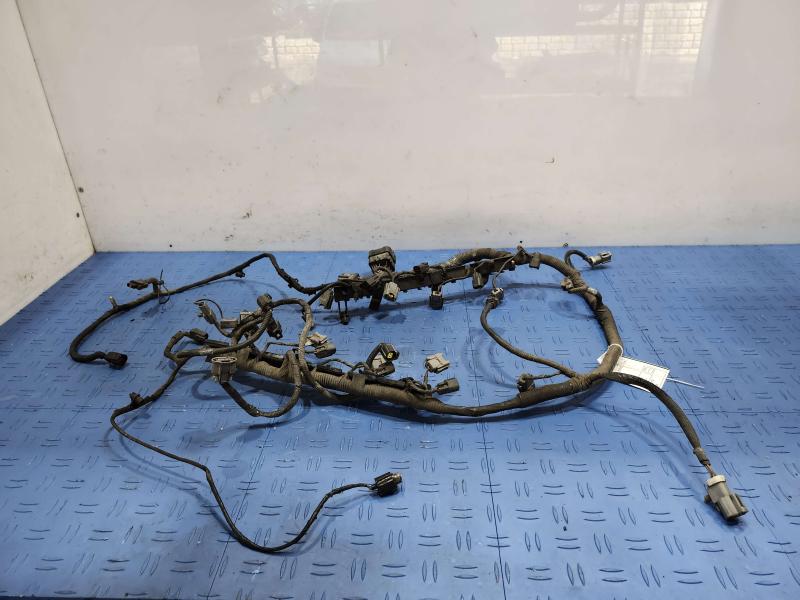 2001 Ford F-150 Wire Harness (Misc)