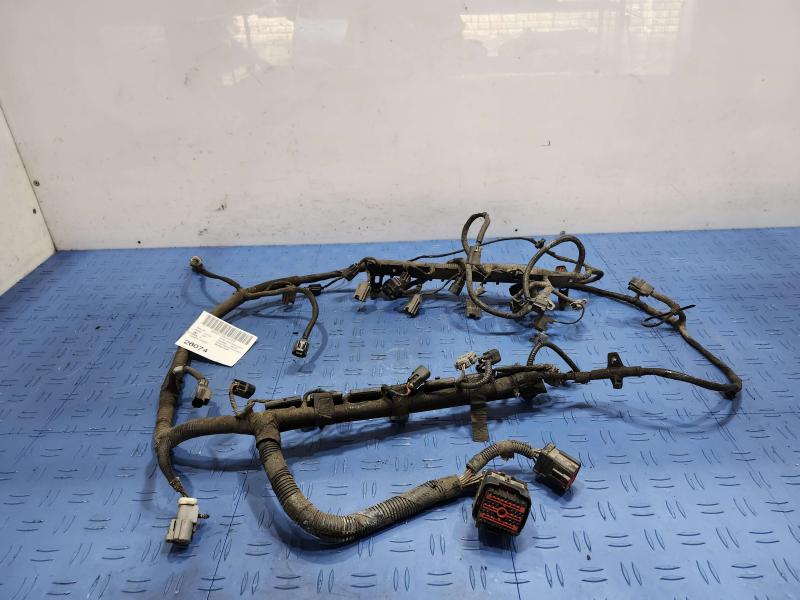 2001 Ford F-150 Wire Harness (Misc)