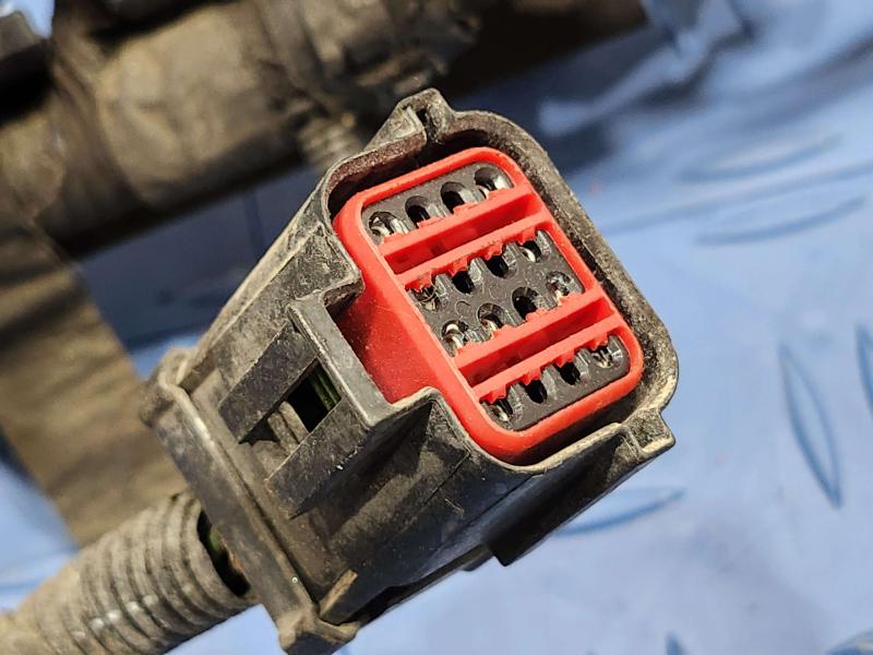 2001 Ford F-150 Wire Harness (Misc)