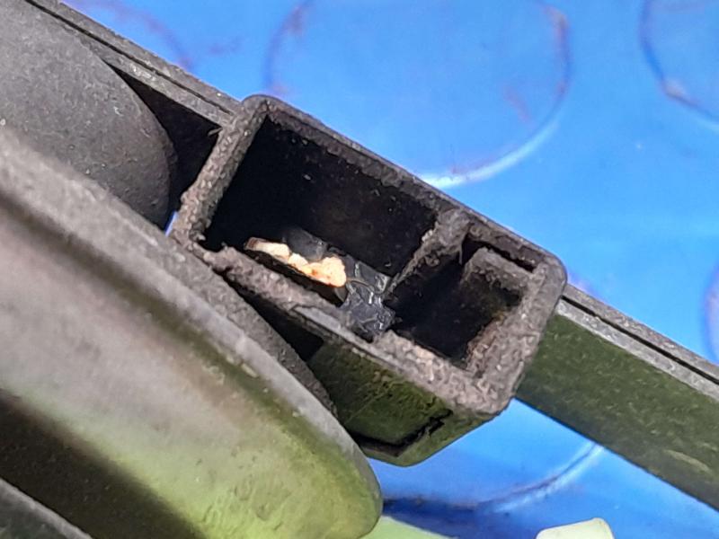 2011 Subaru Forester Horn