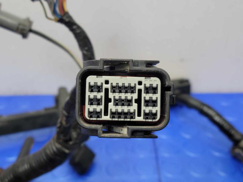 2006 Honda Ridgeline Wire Harness (Engine)