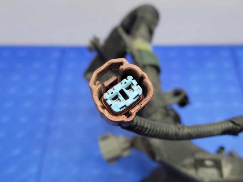 2006 Honda Ridgeline Wire Harness (Engine)