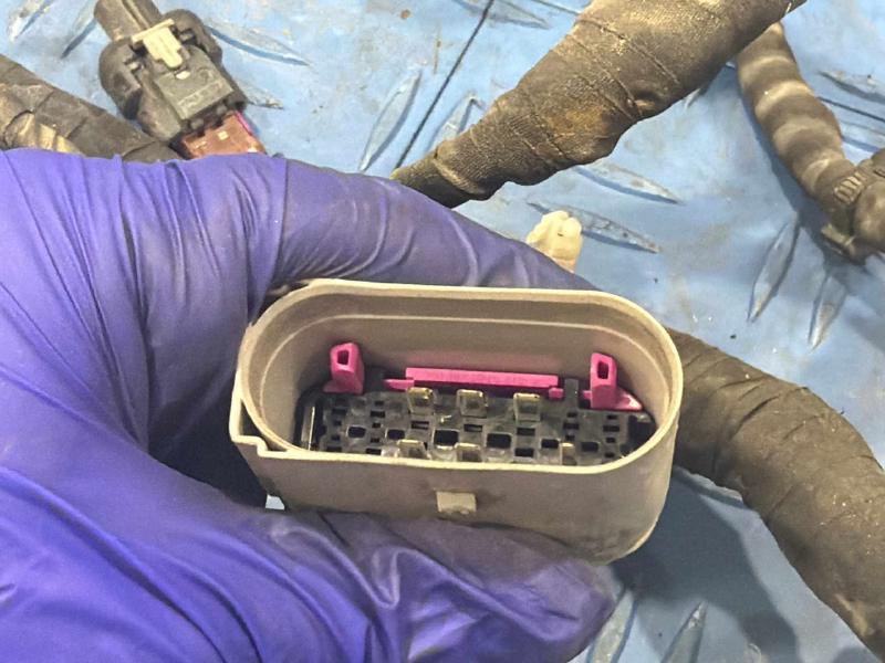2015 Volkswagen Passat Wire Harness (Engine)