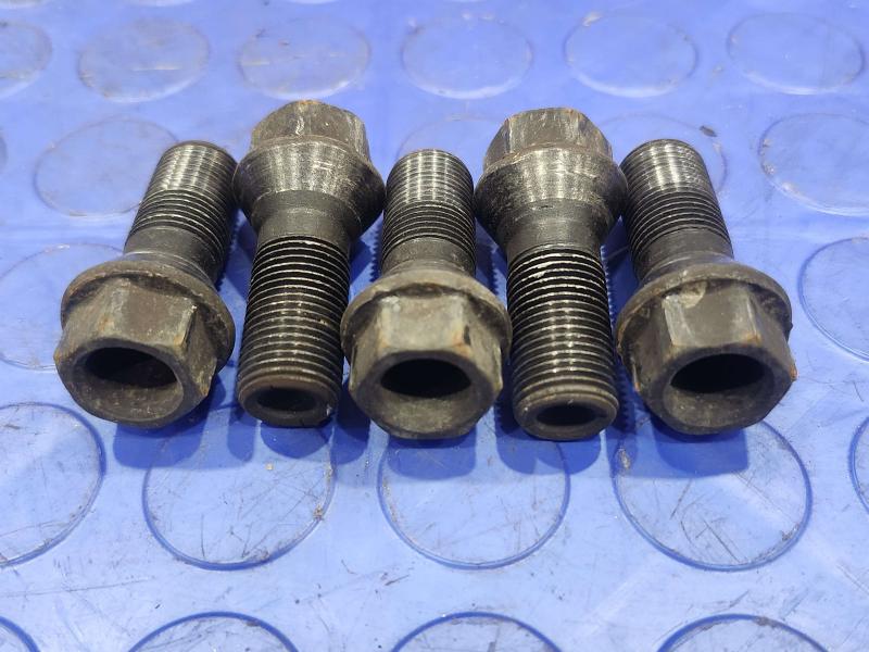 2017 BMW X1 Lug Nuts