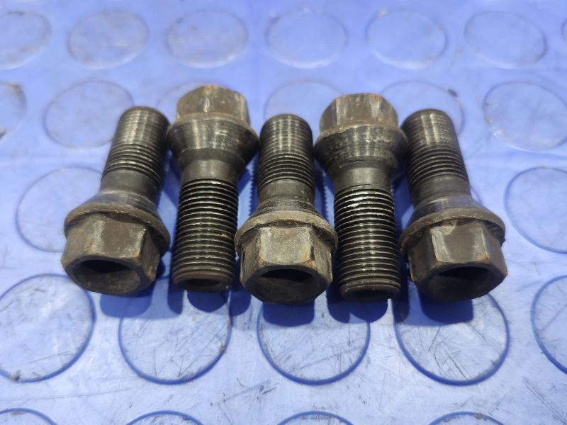 2017 BMW X1 Lug Nuts