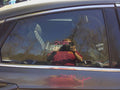 2015 Ford Fusion Rear Door Glass/Window