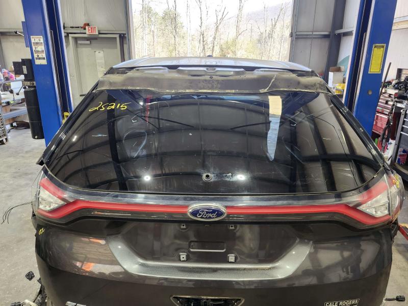 2016 Ford Edge Back Glass/Window