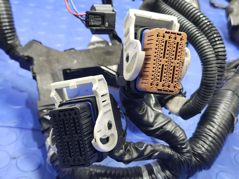 2025 Nissan Versa Wire Harness (Engine)