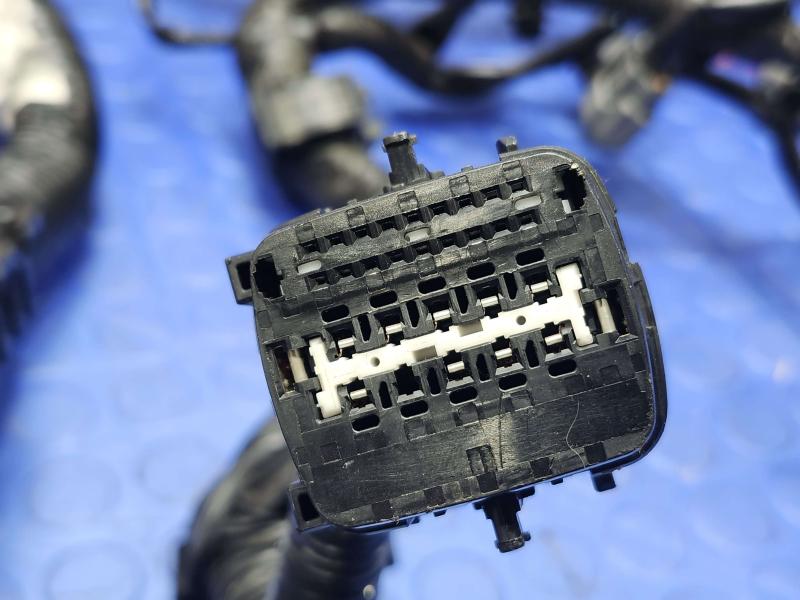 2025 Nissan Versa Wire Harness (Engine)