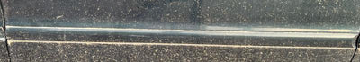 1999 - 2002 Acura TL Front Door Molding RH Passenger Side Green OEM 75302S0KA01ZB