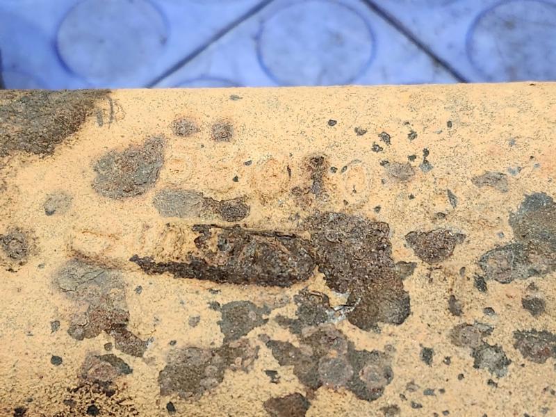 1997 Dodge Dakota Exhaust Manifold