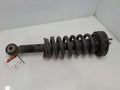 2007 Ford Expedition Strut Assembly