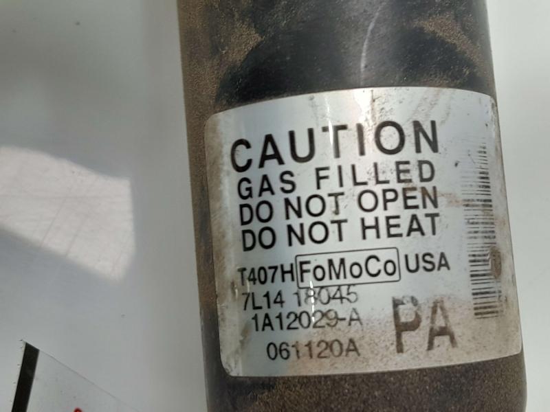 2007 Ford Expedition Strut Assembly