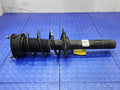 2019 Volkswagen Jetta Strut Assembly