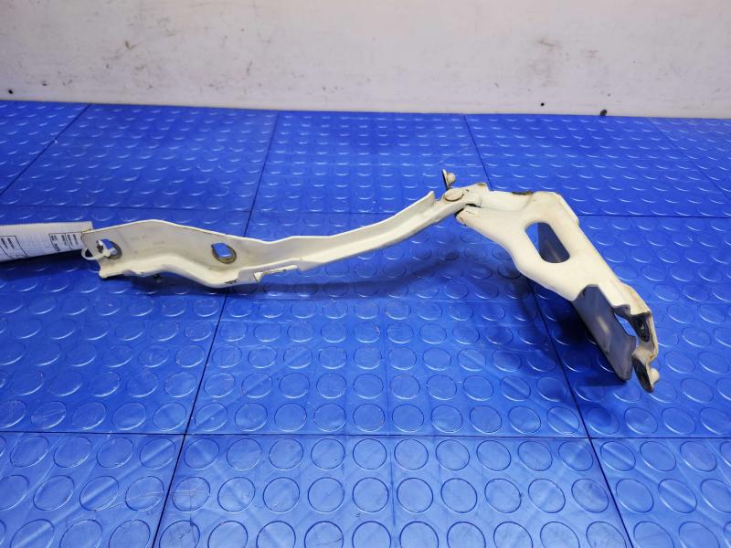 2015 Ford F-150 Hood Hinge