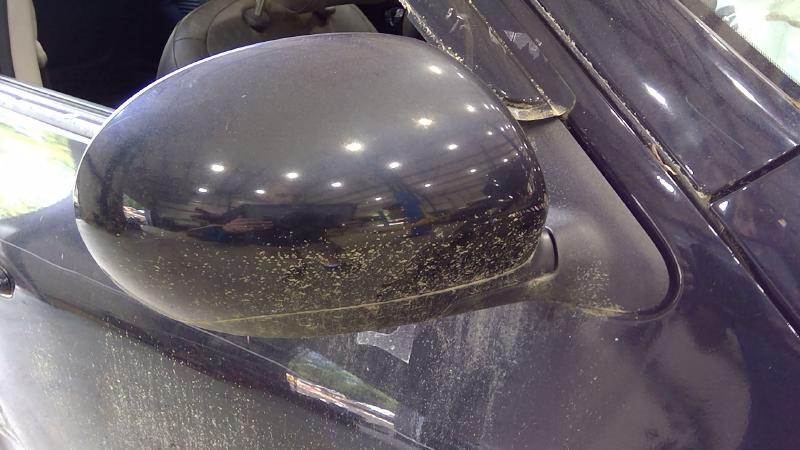 2011 Nissan Juke Door Mirror