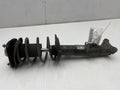 2010 2011 Mercedes E63 W212 Front Strut Assembly LH Driver Side OEM 2123233300