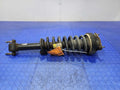 2015 Ford F-150 Strut Assembly