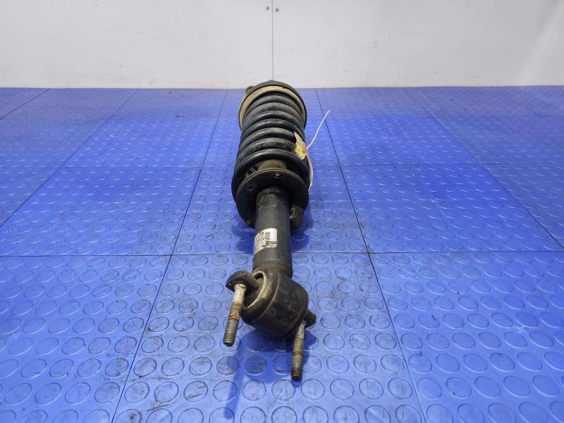 2015 Ford F-150 Strut Assembly