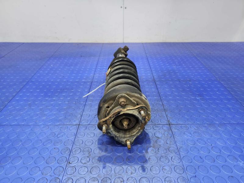 2015 Ford F-150 Strut Assembly