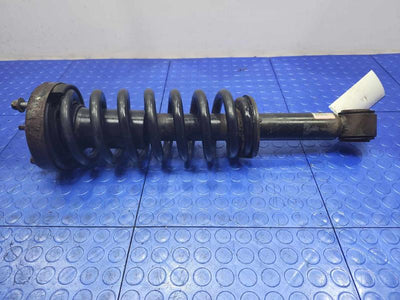 2009 Ford F-150 Strut Assembly