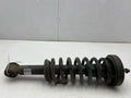 2011 Ford F-150 Strut Assembly