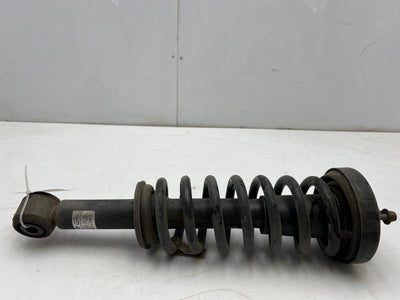 2011 Ford F-150 Strut Assembly
