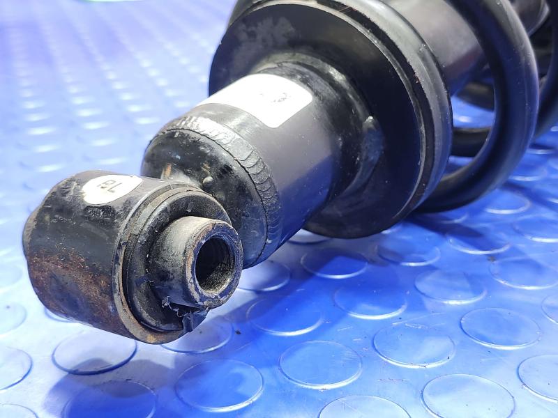 2015 Chevrolet Camaro Strut Assembly