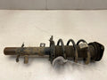 2015 Ford Escape Strut Assembly