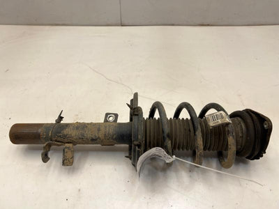 2015 Ford Escape Strut Assembly