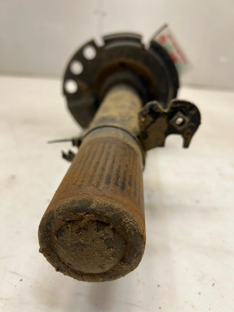 2015 Ford Escape Strut Assembly