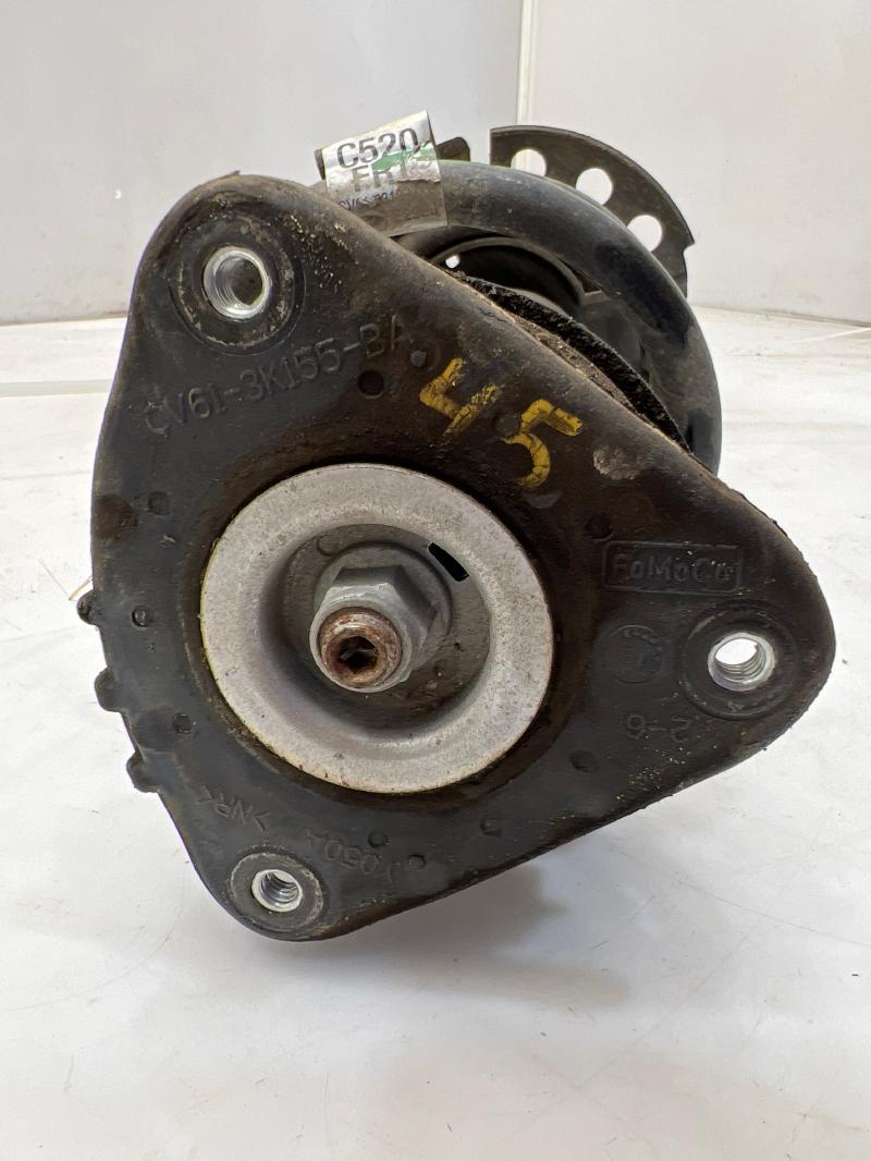 2015 Ford Escape Strut Assembly