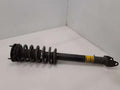 2013 Tesla Model S Strut Assembly