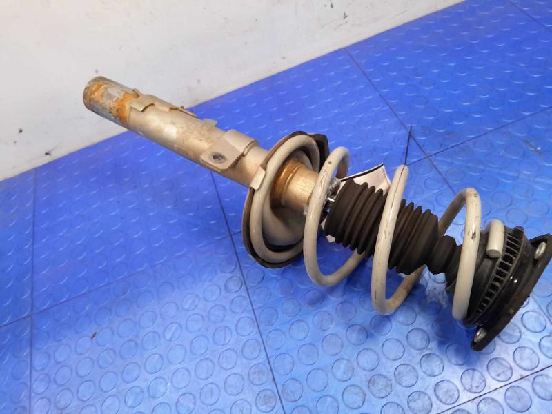 2014 Ford Escape Strut Assembly