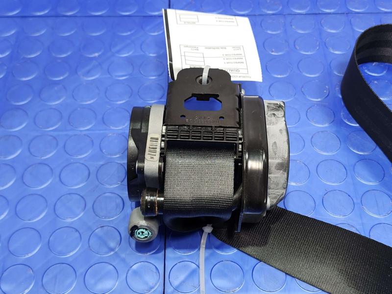 2014 Ford Focus Front Seat Belt