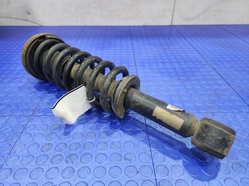 2013 Ford F-150 Strut Assembly