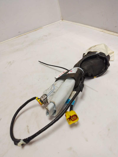 2010 Ford F-150 Air Bag