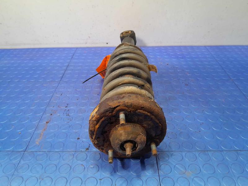 2013 Ford F-150 Strut Assembly