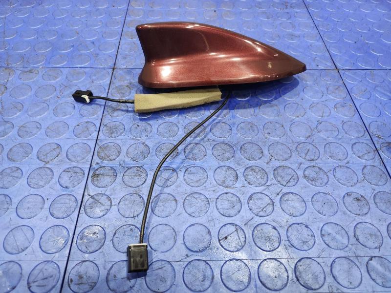 2015 Acura TLX Antenna